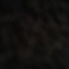 lopezz644